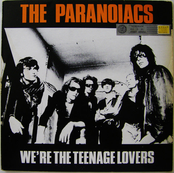 We're The Teenage Lovers