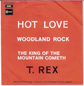 Hot Love