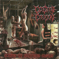 Smashed And Splattered Organs