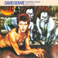 Diamond Dogs