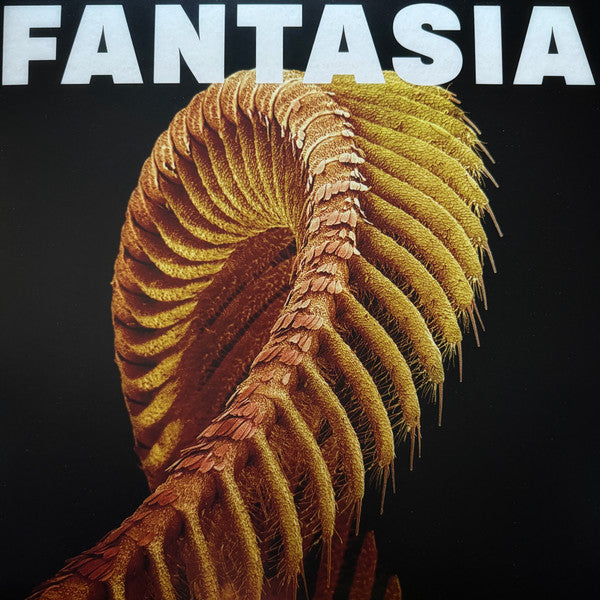 Fantasia