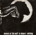 Beware Of The Wolf In Sheep's Clothing