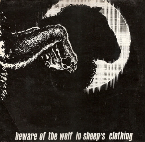 Beware Of The Wolf In Sheep's Clothing