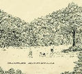 Landscape And People