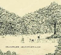 Landscape And People