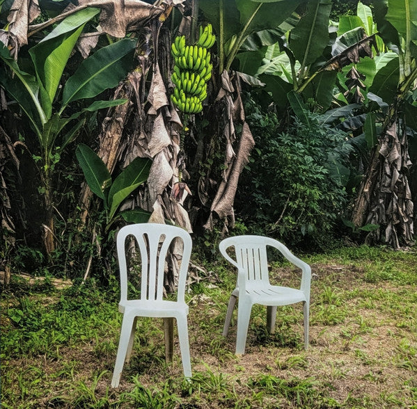 Debí Tirar Más Fotos