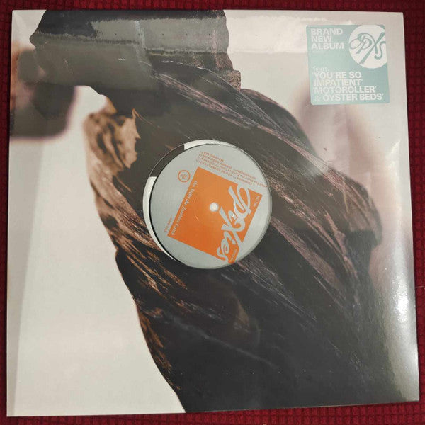 The Night The Zombies Came