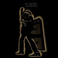 Electric Warrior