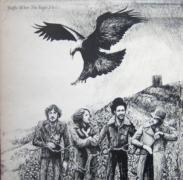 When The Eagle Flies