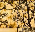 Ironwood