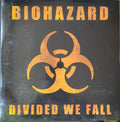 Divided We Fall