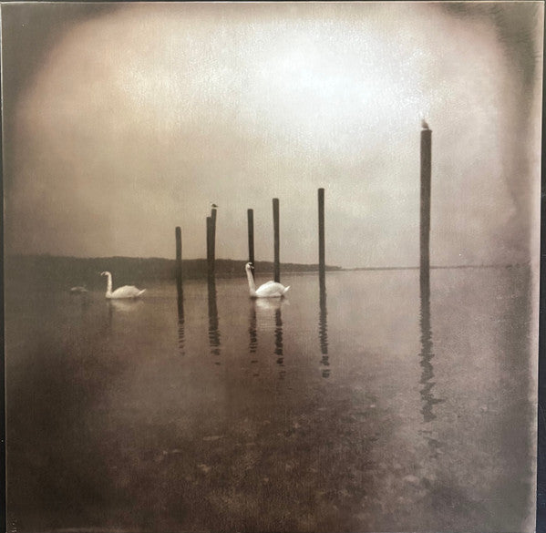 Conference Of The Birds