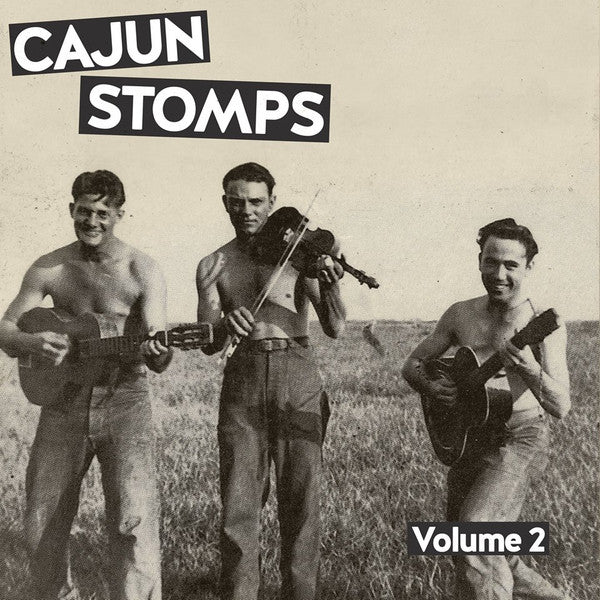 Cajun Stomps Volume 2