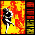 Use Your Illusion I