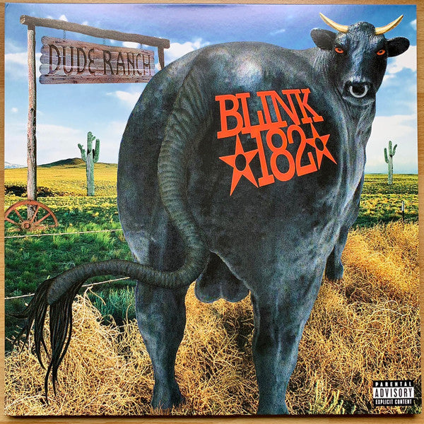 Dude Ranch