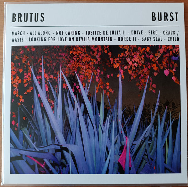 Burst