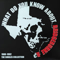 What Do You Know About Bridgeburne R? The Singles Collection, 1986-1992.