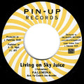 Living On Sky Juice