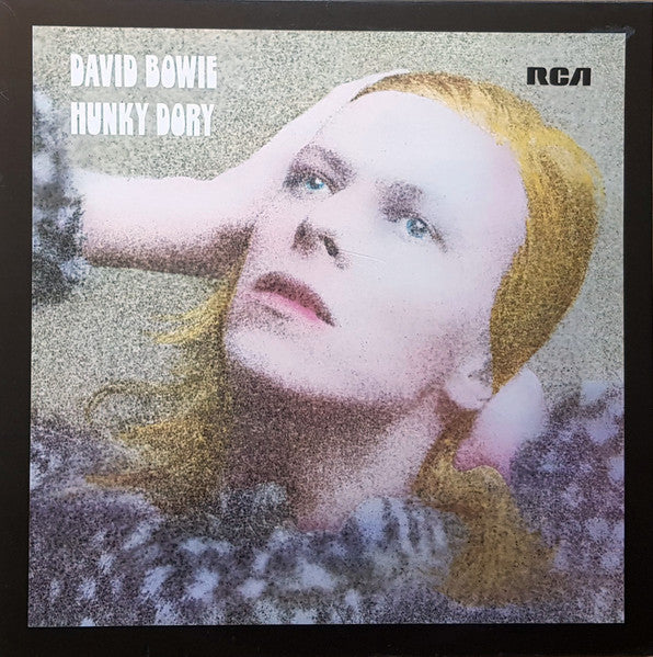 Hunky Dory