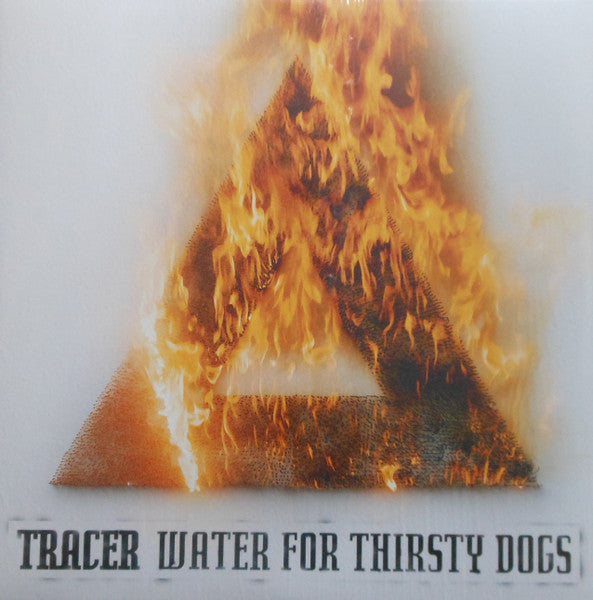 Water For Thirsty Dogs
