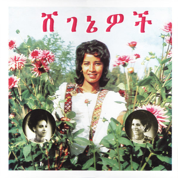 ሸገኔዎች = Beauties