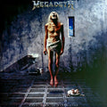 Countdown To Extinction