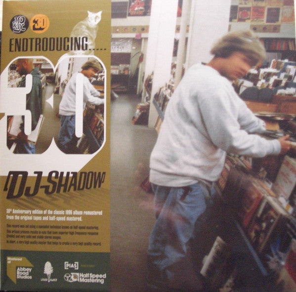 Endtroducing.....