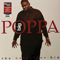 Big Poppa (Remix)