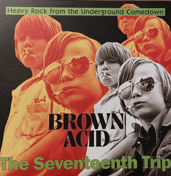 Brown Acid: The Seventeenth Trip (Heavy Rock From The Underground Comedown)