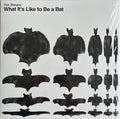 What It's Like To Be A Bat
