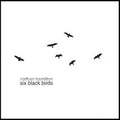 Six Black Birds