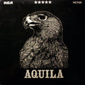 Aquila