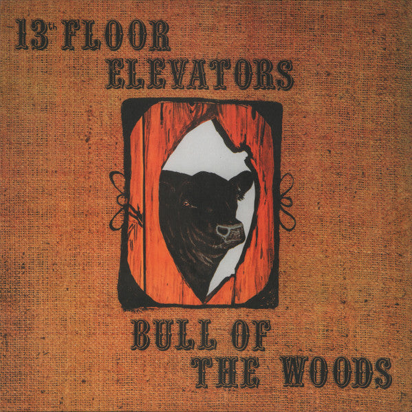 Bull Of The Woods