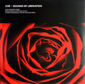 Sounds Of Liberation