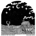 Kikagaku Moyo - House In The Tall Grass (LP), hoes