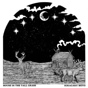 Kikagaku Moyo - House In The Tall Grass (LP), hoes